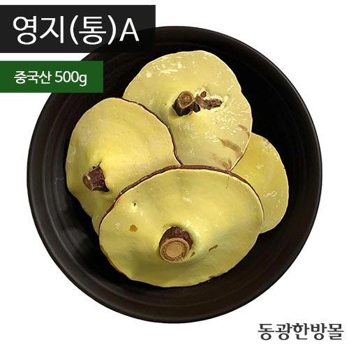 영지버섯통A/중국산 500g